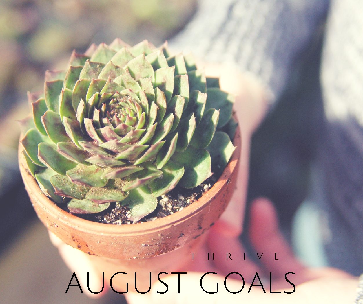 Thrive | August Goals